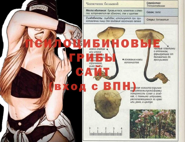 2c-b Вязьма