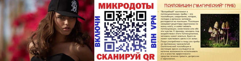 Псилоцибиновые грибы MAGIC MUSHROOMS  магазин  наркотиков  Порхов 